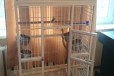 Клетка для средних и крупных птиц в городе Ростов-на-Дону, фото 4, Аксессуары