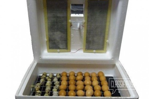 Автоматический инкубатор. 70 яиц. Производитель в городе Йошкар-Ола, фото 5, телефон продавца: +7 (987) 861-27-61