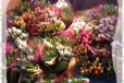 Тюльпаны в городе Рубцовск, фото 2, телефон продавца: +7 (923) 723-01-11