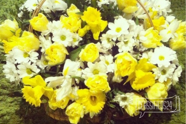 Тюльпаны. Цветы. Букеты любой сложности в городе Нижний Новгород, фото 1, телефон продавца: +7 (909) 283-54-65