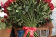 Цветы опт сиверса 23 тюльпан примула подснежник кр в городе Ростов-на-Дону, фото 1, Ростовская область