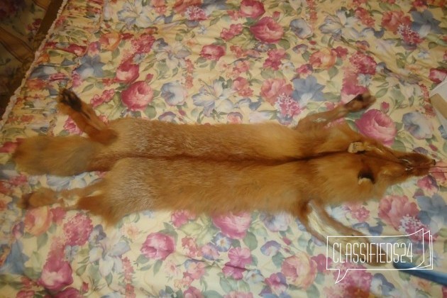Мех лисы в городе Иваново, фото 1, телефон продавца: +7 (920) 363-72-87