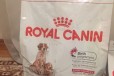 Корм royal canin в городе Москва, фото 1, Московская область