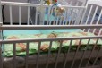 Кроватка детская в городе Барнаул, фото 2, телефон продавца: +7 (983) 393-00-02