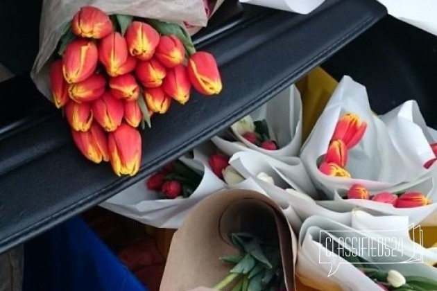 Тюльпаны с доставкой от 15 штук в городе Барнаул, фото 1, Растения