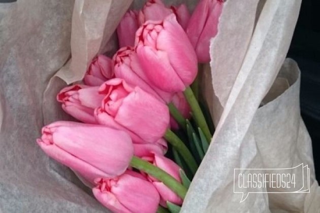 Тюльпаны с доставкой от 15 штук в городе Барнаул, фото 3, телефон продавца: +7 (923) 715-07-89