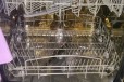 Посудомоечная машина krona BDE6007EU в городе Одинцово, фото 2, телефон продавца: +7 (926) 600-38-44
