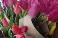 Тюльпаны розница в городе Красноярск, фото 1, Красноярский край