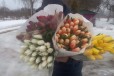 Тюльпаны в розницу.55р в городе Смоленск, фото 1, Смоленская область