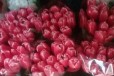 Тюльпаны, гиацинты в городе Усть-Лабинск, фото 1, Краснодарский край