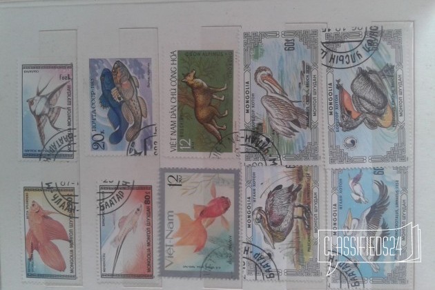 Коллекция почтовых марок в городе Новосибирск, фото 5, телефон продавца: +7 (913) 955-02-09