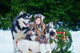 Фотосессия с щеночками Хаски в городе Екатеринбург, фото 1, Свердловская область