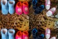 Обувь для девочек пакетом 21-22 размер в городе Махачкала, фото 1, Дагестан