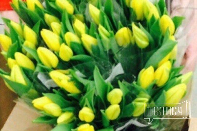 Тюльпаны к 8 Марта в городе Тольятти, фото 2, телефон продавца: +7 (927) 771-20-22