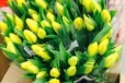Тюльпаны к 8 Марта в городе Тольятти, фото 2, телефон продавца: +7 (927) 771-20-22