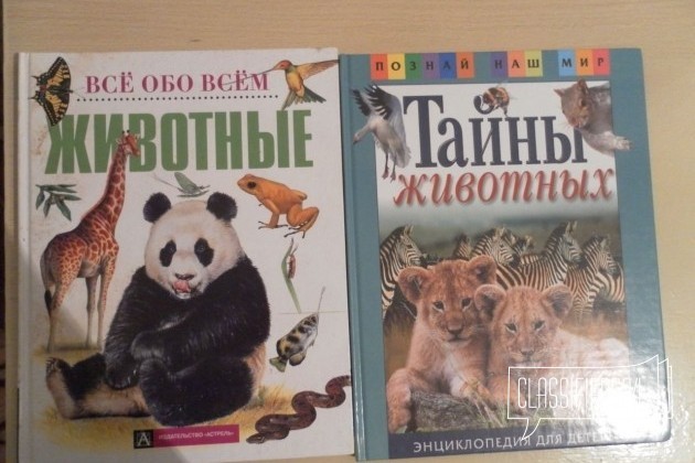 Детские книжки познавательные энциклопедия в городе Воронеж, фото 1, стоимость: 200 руб.