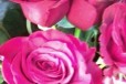 Цветы опт и розница. Тюльпаны, хризантемы, лилии в городе Иркутск, фото 1, Иркутская область