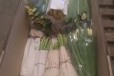 Тюльпаны. Мелкий опт в городе Иркутск, фото 2, телефон продавца: +7 (950) 088-44-14