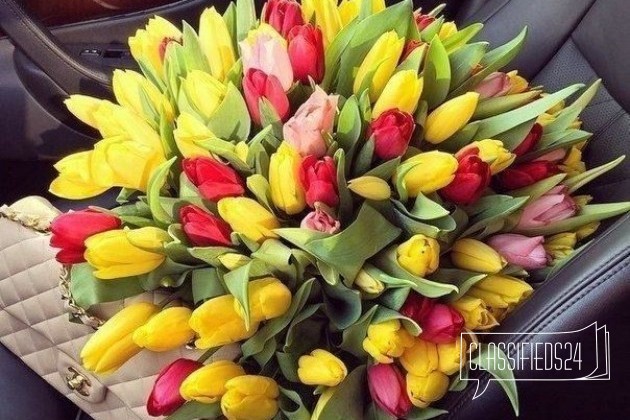 Тюльпаны оптом в городе Казань, фото 1, телефон продавца: +7 (905) 025-49-43