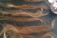 Волосы натуральные в городе Краснодар, фото 2, телефон продавца: +7 (918) 955-52-61
