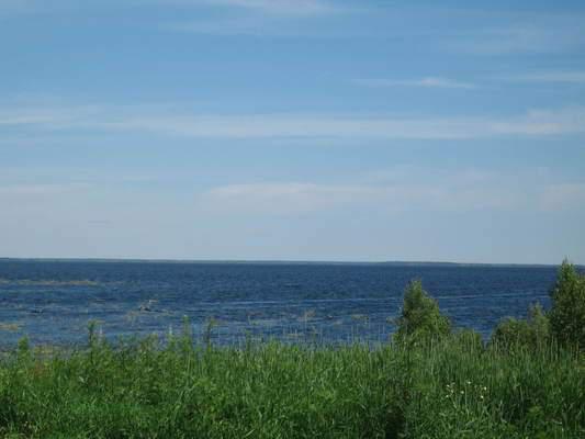 остров 40Га близ д. Лямина в городе Сургут, фото 1, стоимость: 100 000 руб.