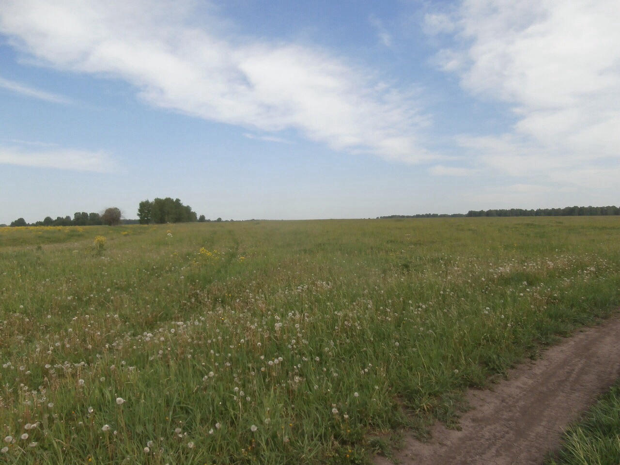 Сдам землю сельхоз.назначения в городе Новоалтайск, фото 1, Алтайский край