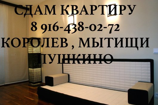 Снять аренда кв-ры в г. Королев в городе Королёв, фото 1, стоимость: 0 руб.