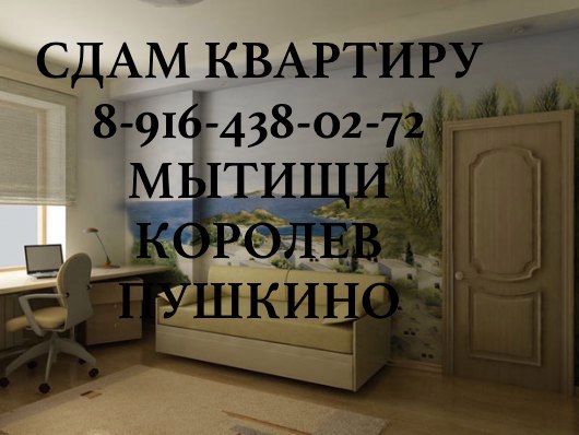 сдам сниму 1-2 ком. кв-ру г. Юбилейный, Мытищи, Королев, в городе Юбилейный, фото 3, стоимость: 0 руб.