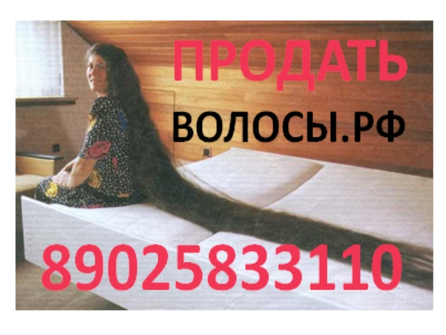 ДОРОГО Купим волосы в Перми! в городе Пермь, фото 2, телефон продавца: +7 (902) 583-31-10