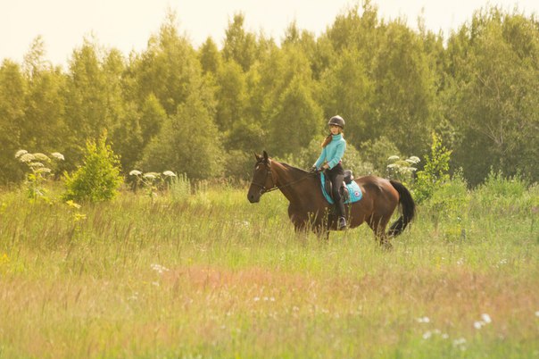 Верховая езда КСК Веслево в городе Москва, фото 4, телефон продавца: +7 (905) 131-88-19