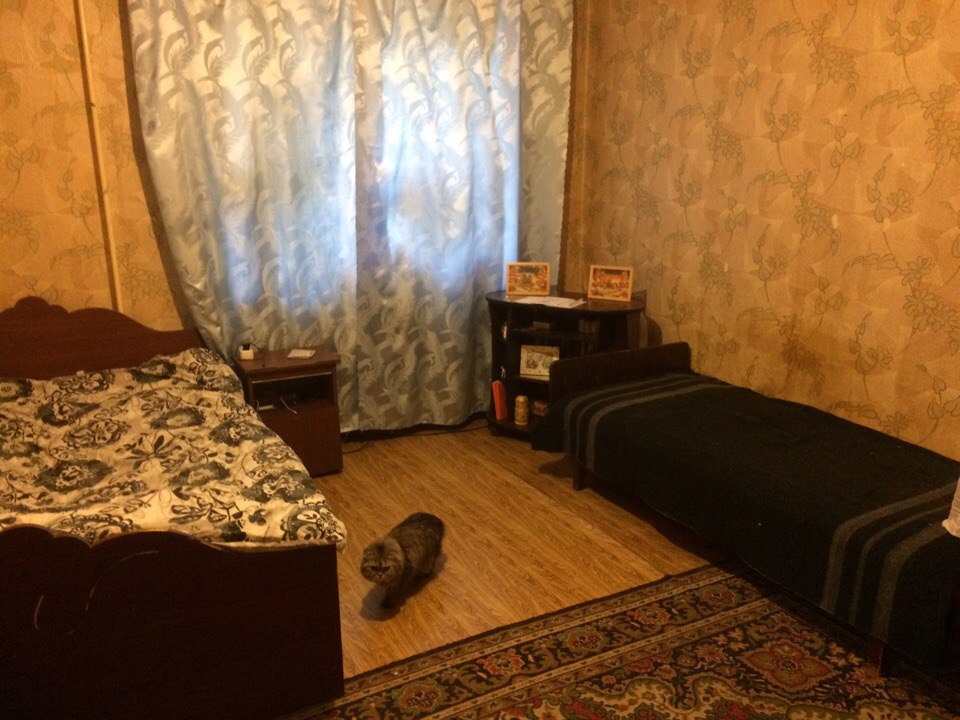 Ищу соседку в городе Воронеж, фото 2, телефон продавца: +7 (951) 553-57-51