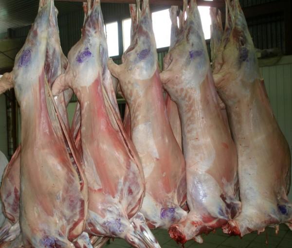 Мясо баранины оптом прямо от производителя с отличной ценой… в городе Новосибирск, фото 1, Новосибирская область
