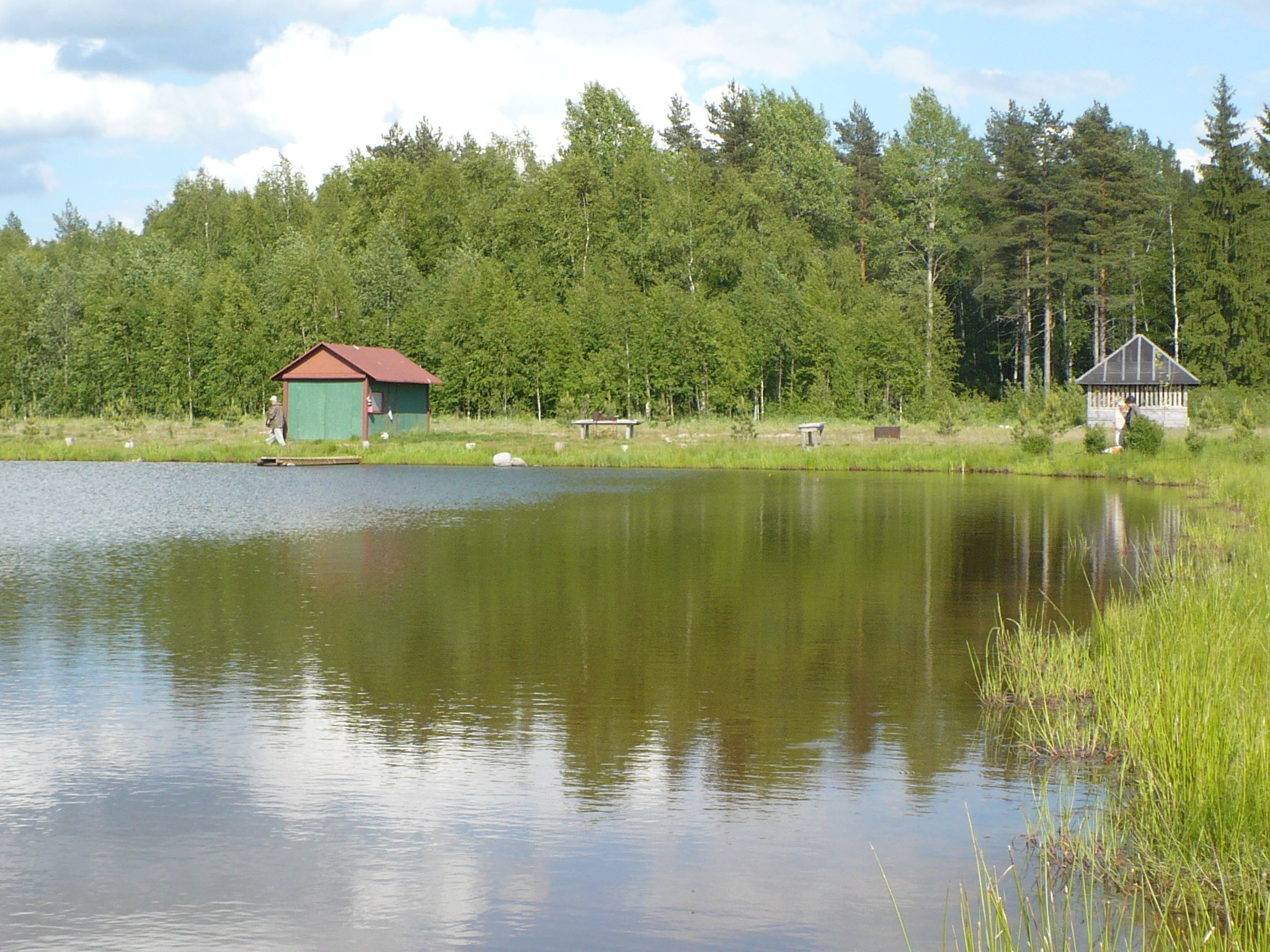 продаю свою базу отдыха Ванины пруды в городе Волхов, фото 1, Ленинградская область