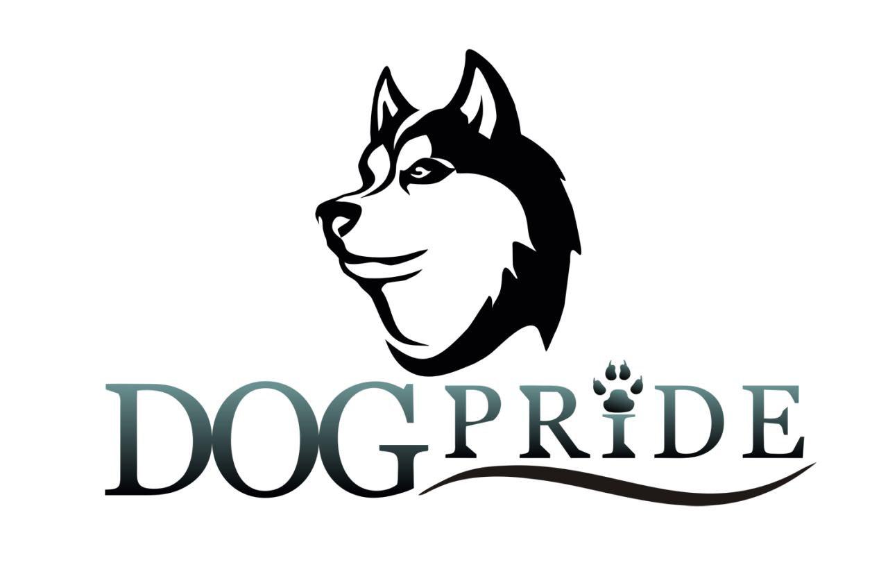 Кинологический тренинговый центр DogPride в городе Хабаровск, фото 1, телефон продавца: +7 (421) 268-94-44