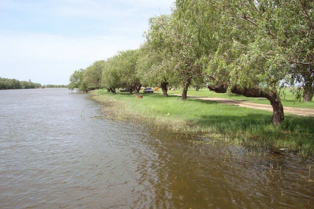 Продаётся участок 112 га.в Володарском районе, Астраханской обл. в 1520 м. от слияния реки Колки и реки Чурка, рядом сел в городе Москва, фото 9, Московская область