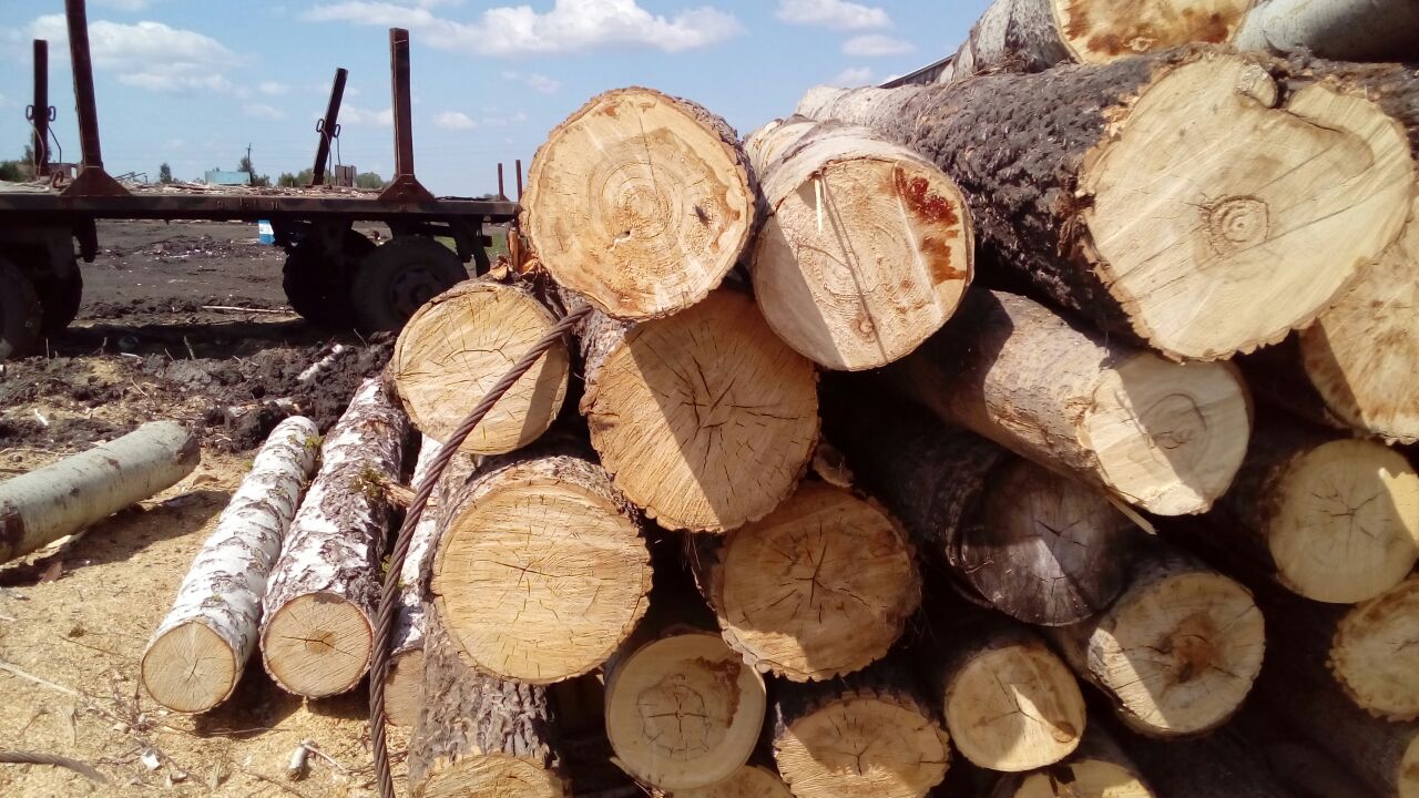 Продам пиловочник (лес кругляк) в городе Далматово, фото 1, Курганская область