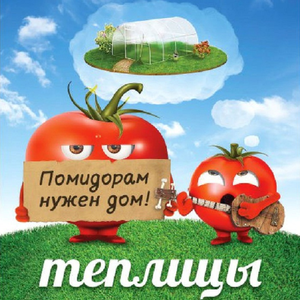 Теплицы для томатов Красный холм в городе Красный Холм, фото 1, телефон продавца: +7 (920) 664-39-11
