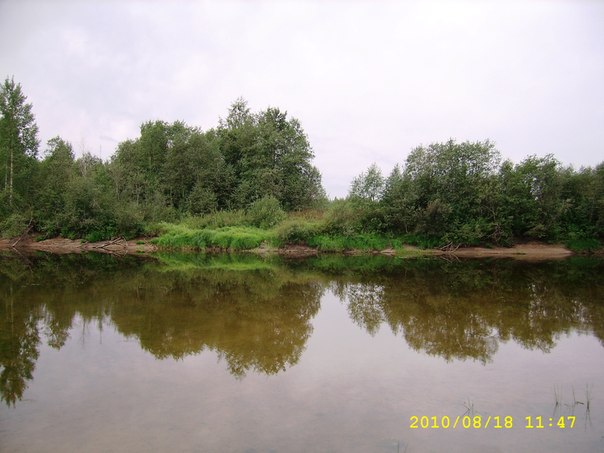 Продам крупный з/у в Вологодской области  в городе Вологда, фото 5, Вологодская область