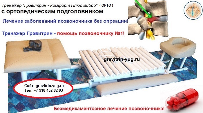 Тренажер Грэвитрин-комфорт плюс: Вибро+Фри (ОРТО) с ортопедическим подголовником в городе Москва, фото 1, стоимость: 103 750 руб.