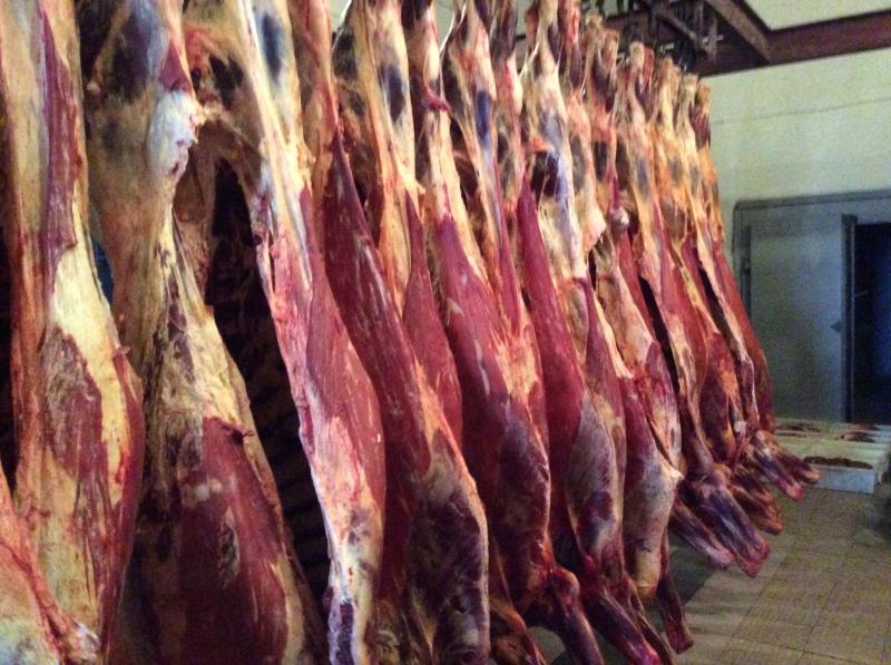 Продаем мясо говядины ГОСТ от производителя в городе Белгород, фото 1, телефон продавца: +7 (472) 220-53-95