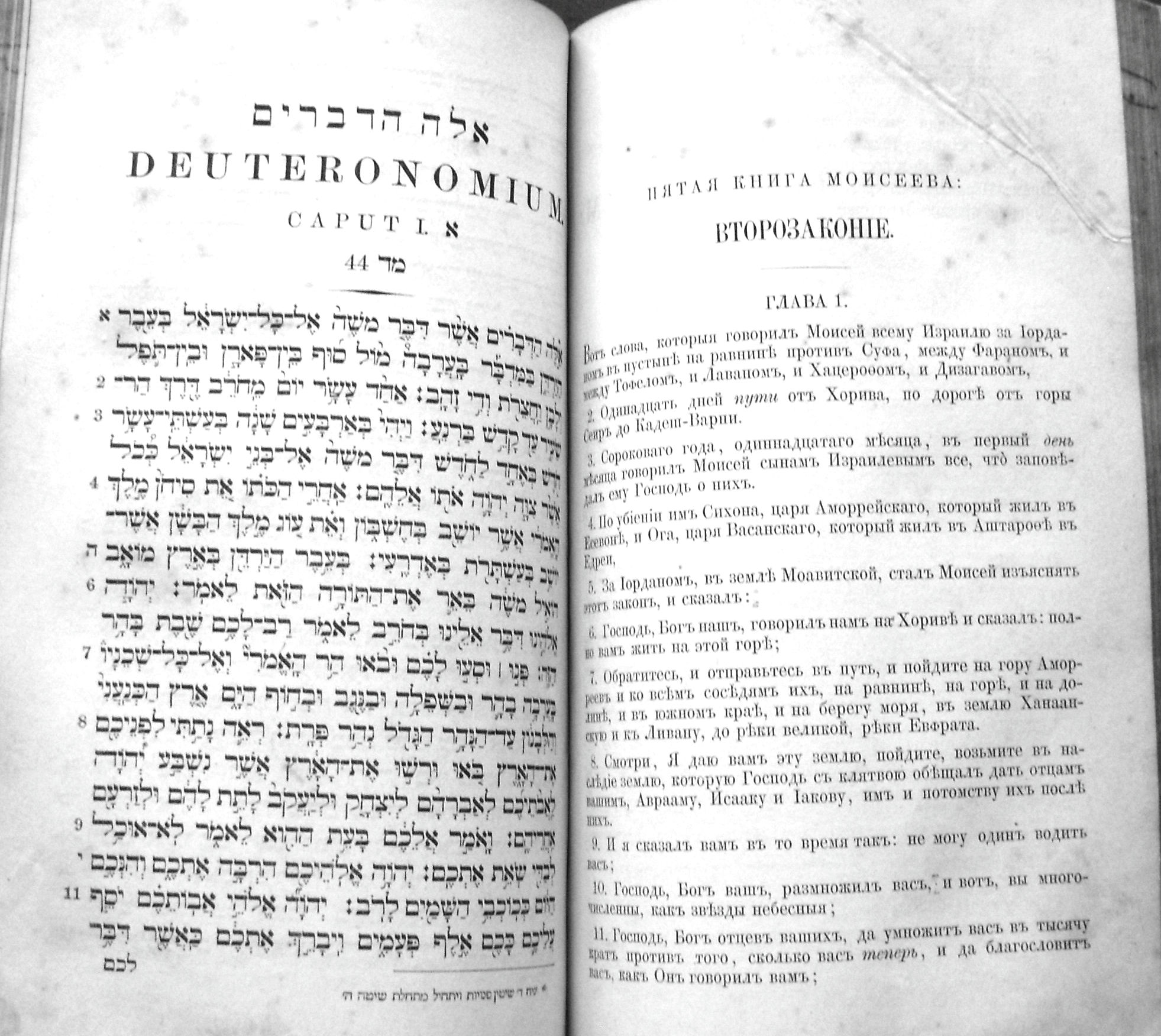 Раритет.  Священная книга Ветхий Завет, т.1. 1877 год. в городе Москва, фото 5, стоимость: 70 000 руб.