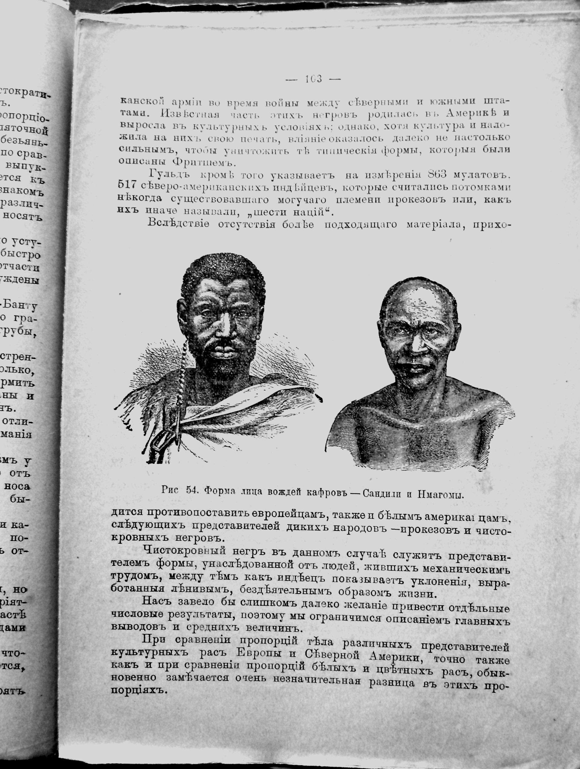 Раритет.«Физические различия человеческих рас» 1902 год. в городе Москва, фото 3, Московская область