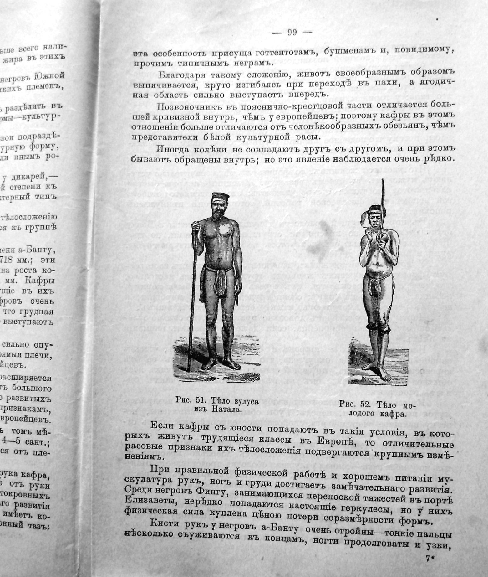Раритет.«Физические различия человеческих рас» 1902 год. в городе Москва, фото 8, телефон продавца: +7 (927) 561-16-12