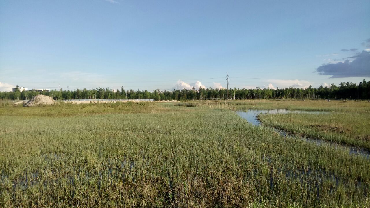 Продается земельный участок под жилую застройку 5,7 га в городе Сургут, фото 3, стоимость: 0 руб.