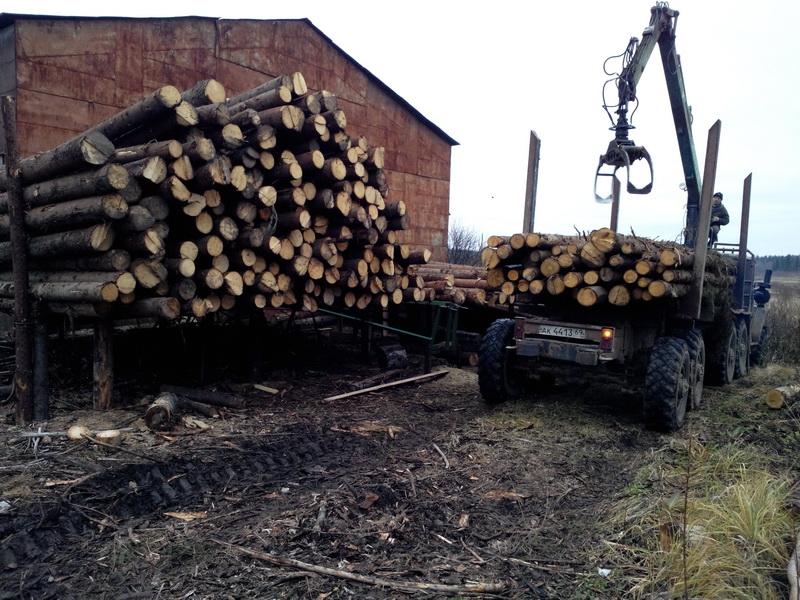 Лесопилка, Производственное помещение 455 м² + земля (обмен)! в городе Кувшиново, фото 4, телефон продавца: +7 (929) 933-02-21