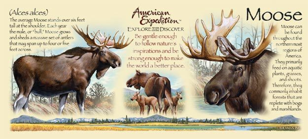 Кружка керамическая Bull Moose (American Expedition) в городе Москва, фото 2, стоимость: 2 300 руб.