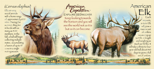 Кружка керамическая American Elk (American Expedition) в городе Москва, фото 2, стоимость: 2 300 руб.