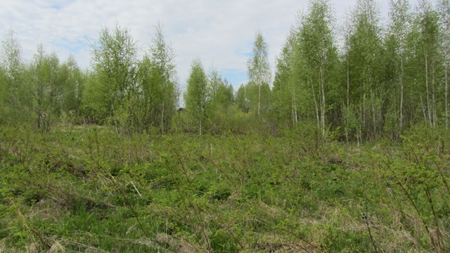 Продается  земельный участок в городе Кимры, фото 1, Земельные участки