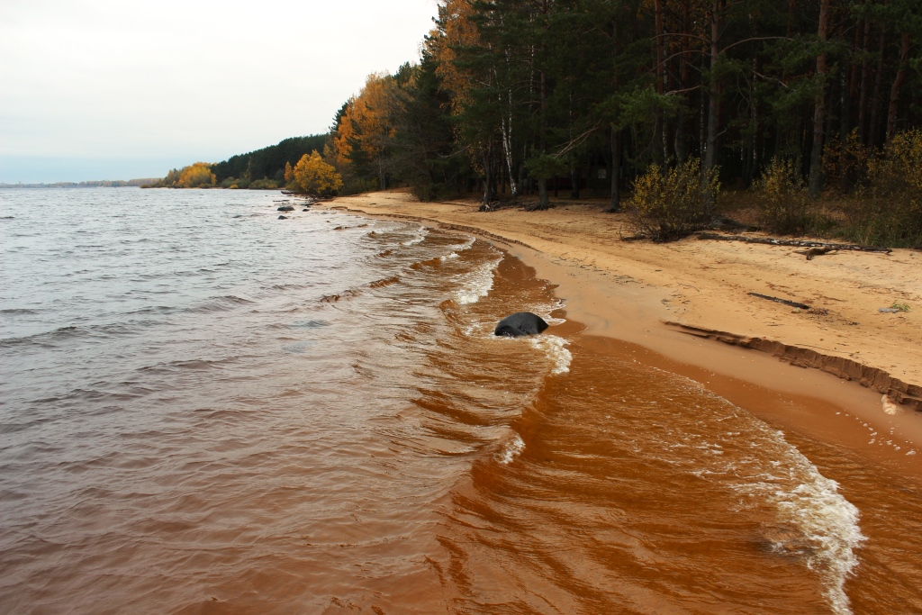 Продается база отдыха на Рыбинском водохранилище в городе Рыбинск, фото 4, Другое