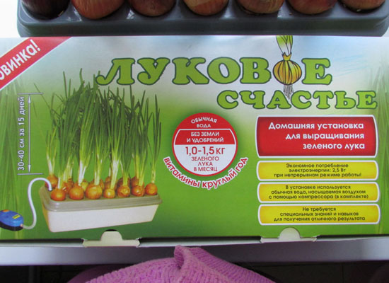 Домашняя чудо грядка Луковое Счастье для выращивания зелёного лука дома на подоконнике в городе Москва, фото 5, Московская область